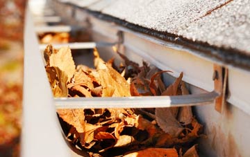 Ibworth gutter cleaning companies