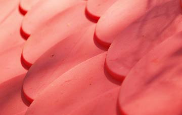 Ibworth plastic roof costs