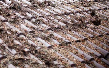 Ibworth roof cleaning companies